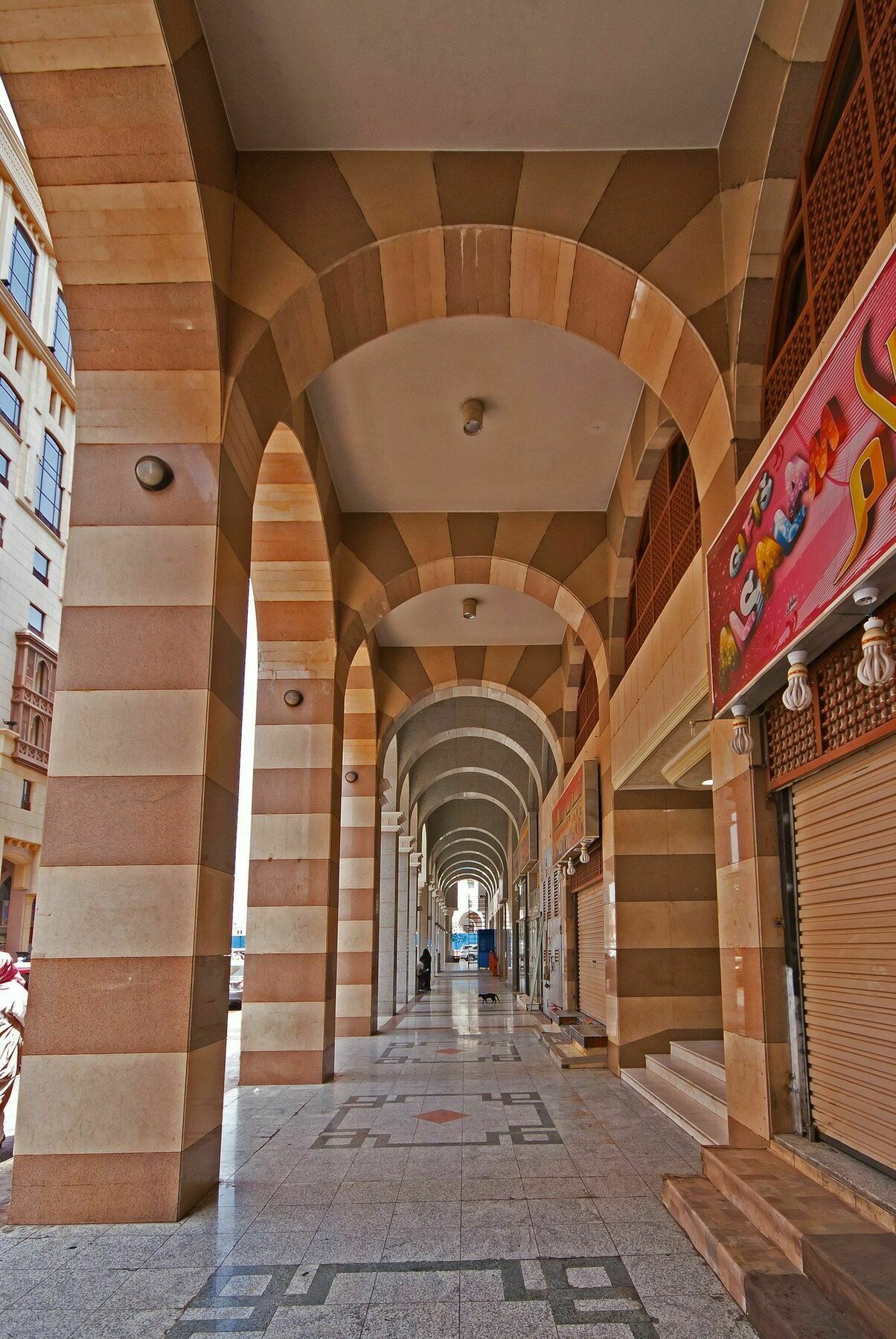 ديار المدينة *